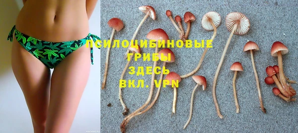 ECSTASY Бугульма