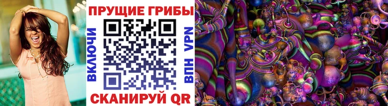 Купить  Хасавюрт  Галлюциногенные грибы Psilocybine cubensis 